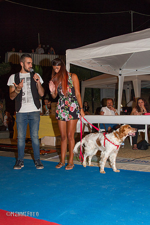 4zampeunacoda-313