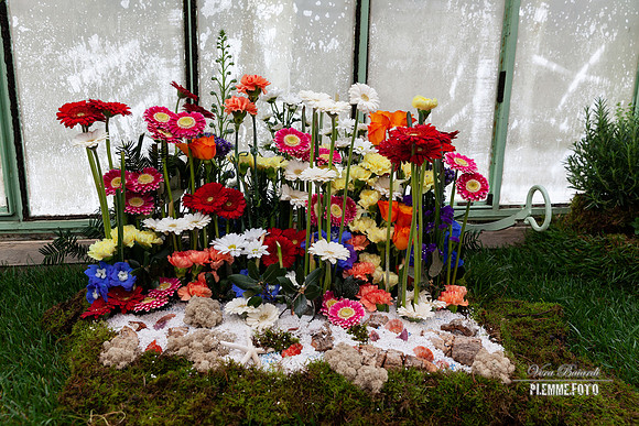 FLORARTE2019-056