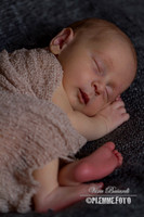 IMG_1077-pp2