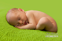 IMG_2240-pp
