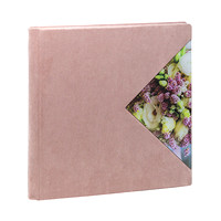aurorabook-vega-1